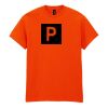 Heavy Cotton™ t-shirt Thumbnail